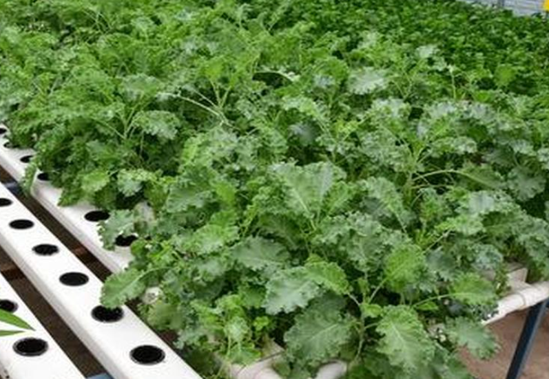 Farmers working with renewable systems