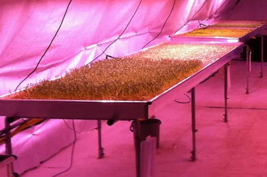 EcoHarvest services - renewable farming tech